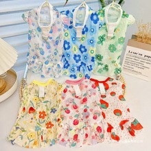 狗狗夏季透气连衣裙子大狗狗衣服猫咪泰迪柯基金毛小中大型犬裙子