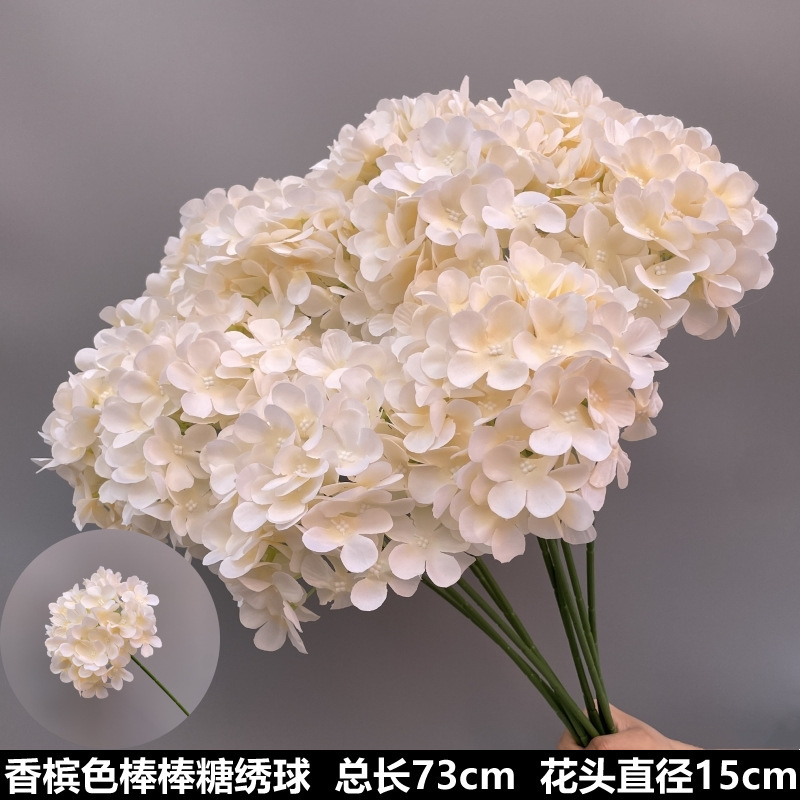 シャンパン色の結婚式の花の花の花の材料の結婚祝いの装飾の花の講堂の装飾の花のプラスチックの花の道は花の造花を導いています。|undefined