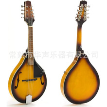 �羳����������嘷��Mandolin����ɫ��ɫ����������⏼���