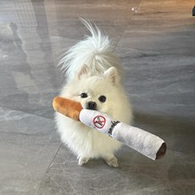 �����㟟ë�q����A�ӌ���l���˽␞ĥ����ҧ����С��������Ʒ