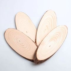 斜切原木片年輪diy木頭片 橢圓木片裝飾背景牆實木片材料手工手繪