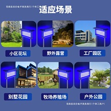 ����̫��ܜ��ß��¿��ˮ���������ͥԺ���@ͥԺ�Bֳ���ز�