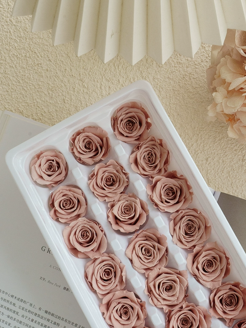 Eternal Rose head A -Class/B -Class Cabca Shengsheng Flower Handmade DIY Teacher's Day Gift Materials