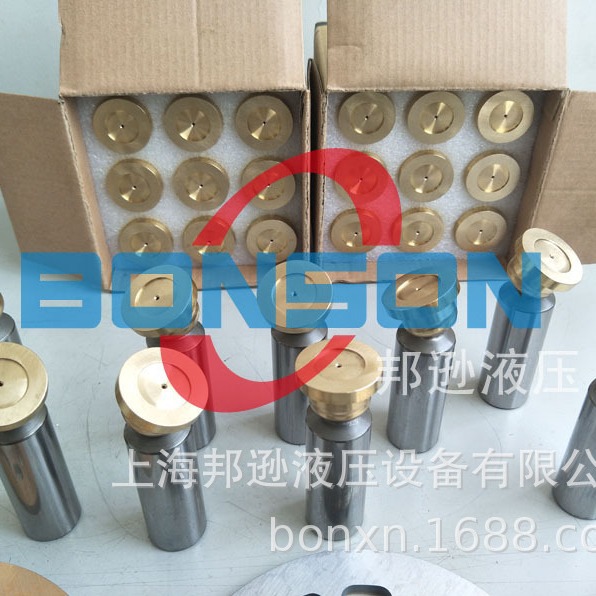 REXROTH，A10VSO140DR柱塞,柱塞泵总成,缸体，压板，回程盘