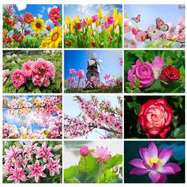 玫瑰百合郁金香图片兰花杜鹃荷花朵油菜牡丹花卉风景海不干胶贴纸