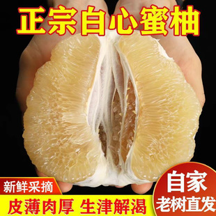 ����ƽ�ͬgϪ������������ɳ���������֭�a��ֱ�l���l
