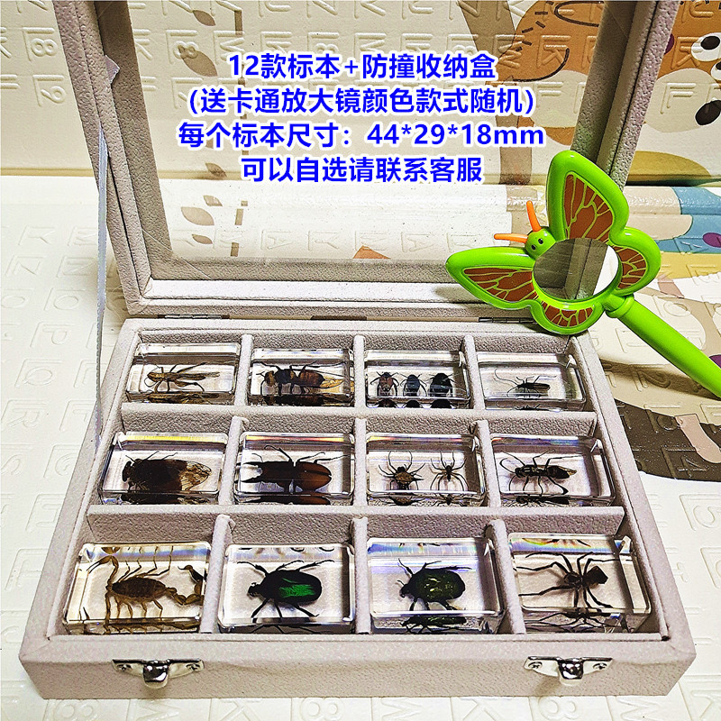 직사각형 12가지 옵션 선물 상자 돋보기(미터)