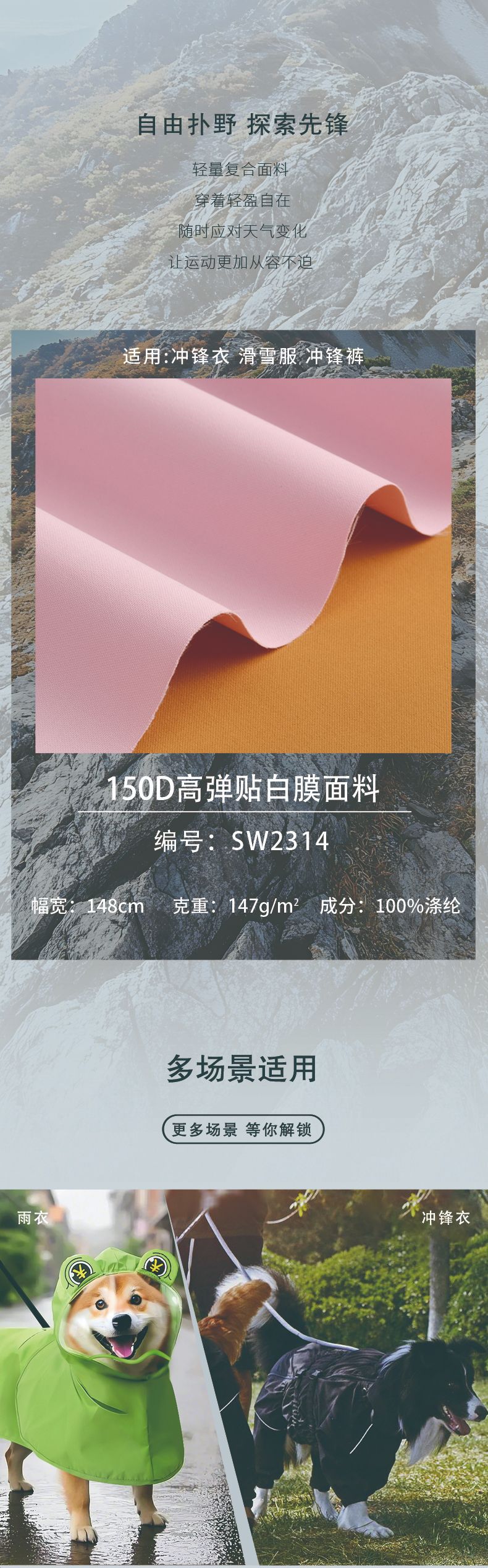 006-2.jpg