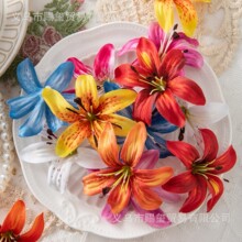 ����С���m���^ �ٻ����^ diy�ֹ��l��b�仨 �Ҿ��b�Y