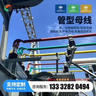 �����X��ĸ��ȫ�^���X��ĸ�� �S��ֱ��Ҏ���Rȫ���10kV4000A35kV