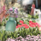 1L Spray Kettle Flower Watering Kettle Disinfection Special Kettle Sprinkling Kettle Barometric Garden Household Flower Raising Artifact Watering Kettle