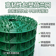 跨境专供荷兰网现货 PVC 浸塑铁丝网 果园养殖围栏圈地防护电焊网
