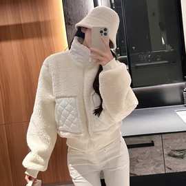 al0秋冬棕色羊羔毛短外套加厚保暖运动休闲立领拉链夹克上衣