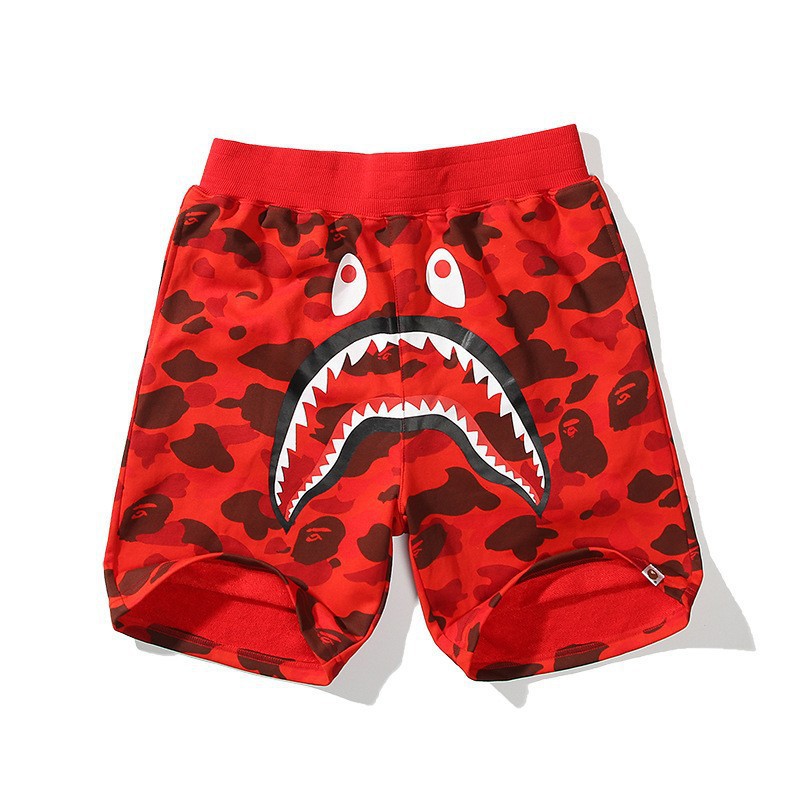 Shark-8