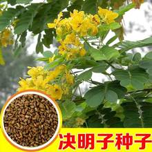 QӷNӲɢbRQg~QپGݛQo¹ľN