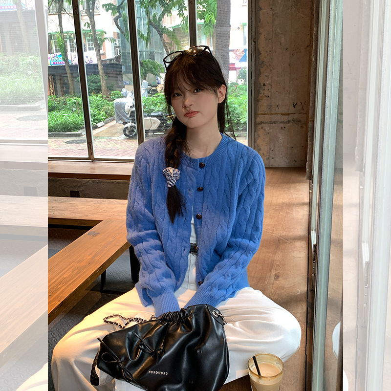 宋正恩蓝色麻花针织开衫外套女秋季新款宽松韩系慵懒毛衣长袖上衣|undefined