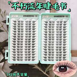 粘胶款大容量不朽流年睫毛书单簇分段式清透贴合眼型不扎眼原生感