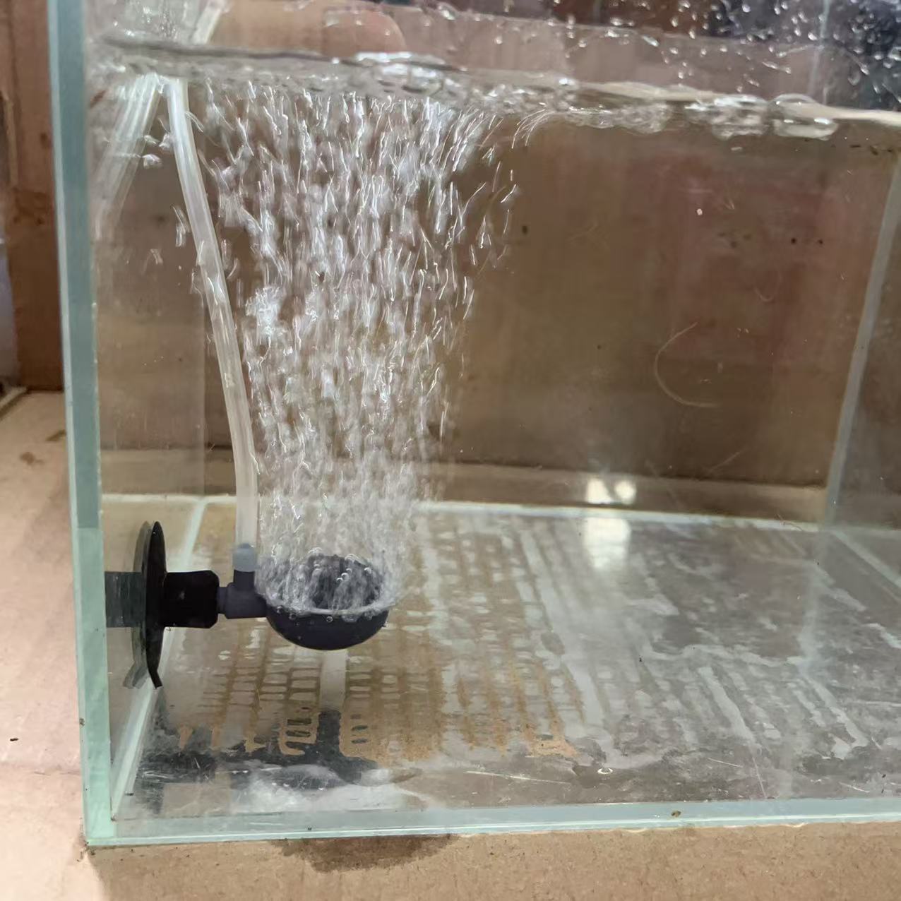 Fundidor de oxigenación de pecera, placa de burbuja de atomización de oxigenación de baja presión, piedra de burbuja uniforme, accesorios de bomba de oxígeno pequeños