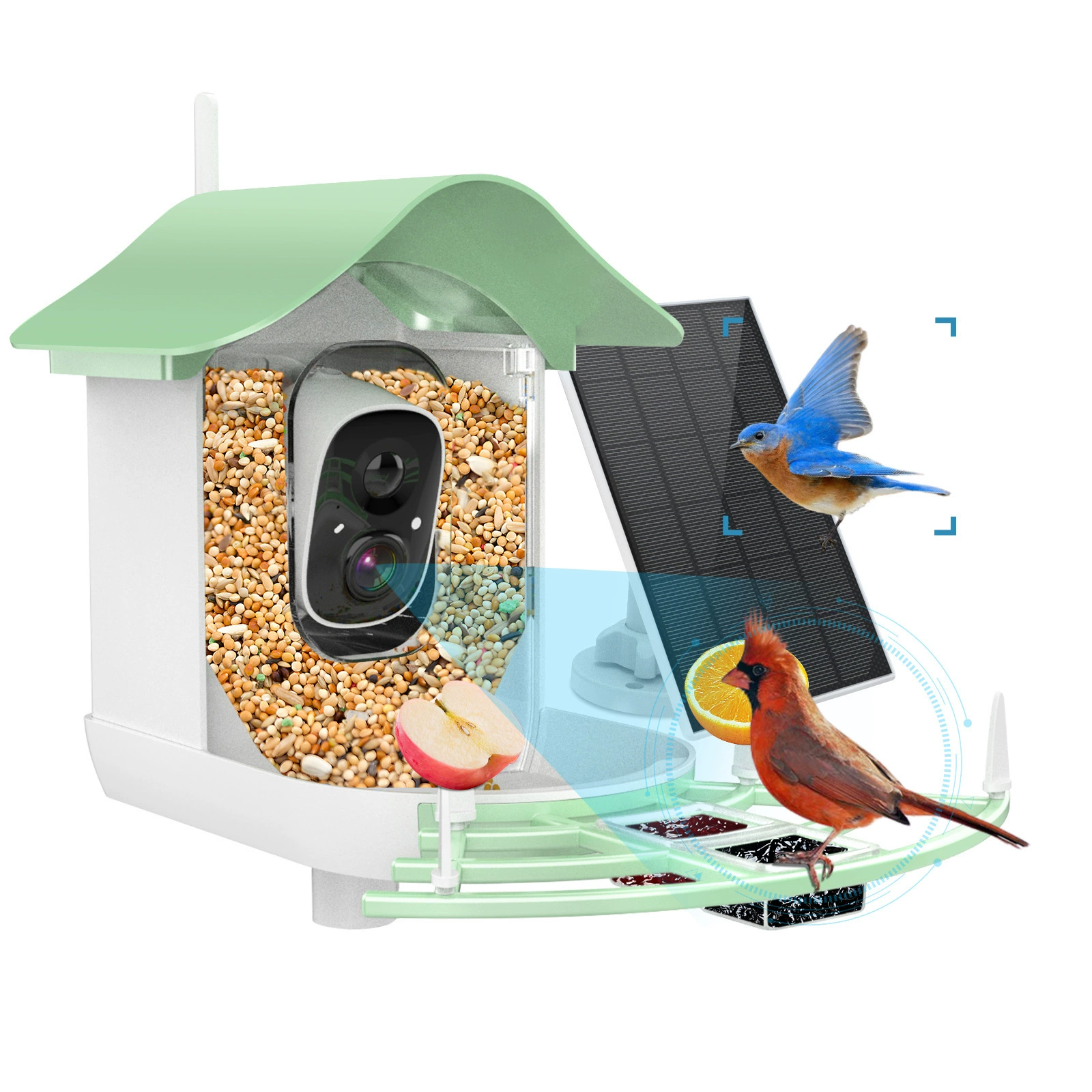 Smart bird feeder camera AI bird recognition remote low power solar wifi камера