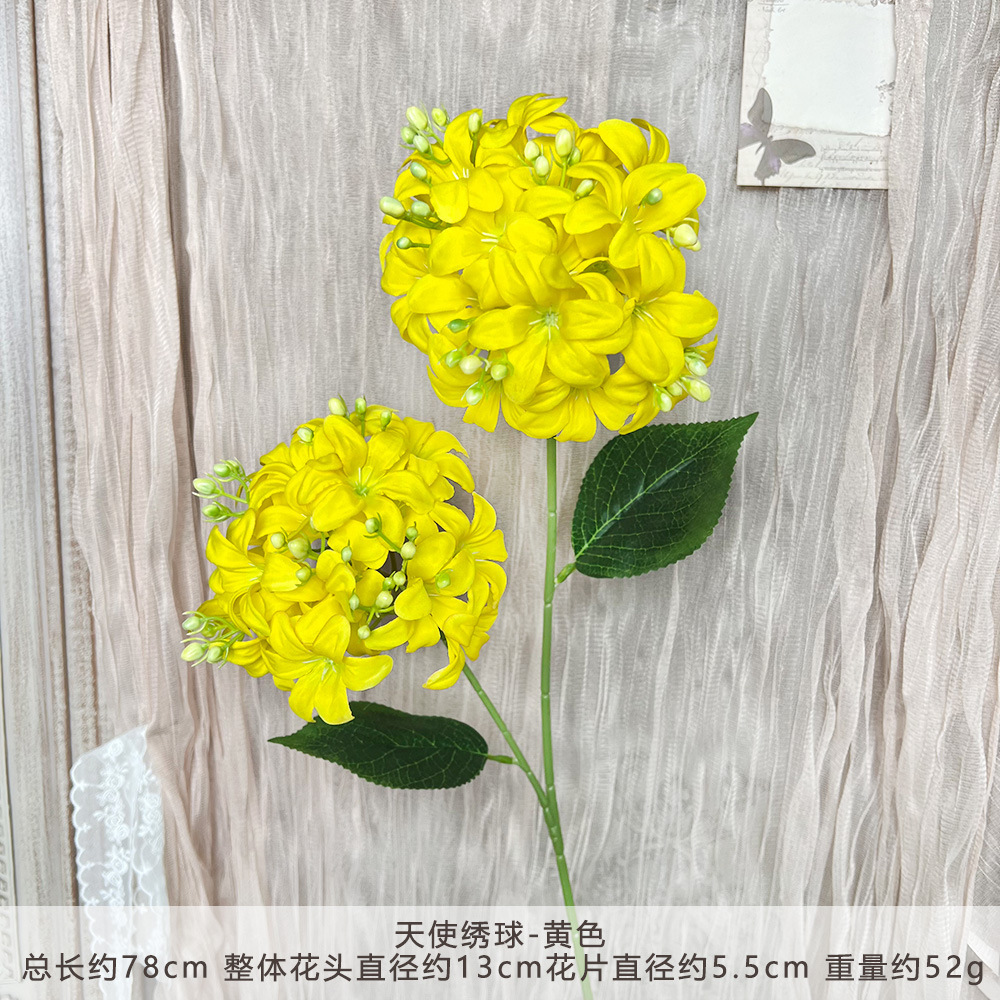 XQ-天使绣球-黄色