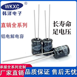 铝电解电容器