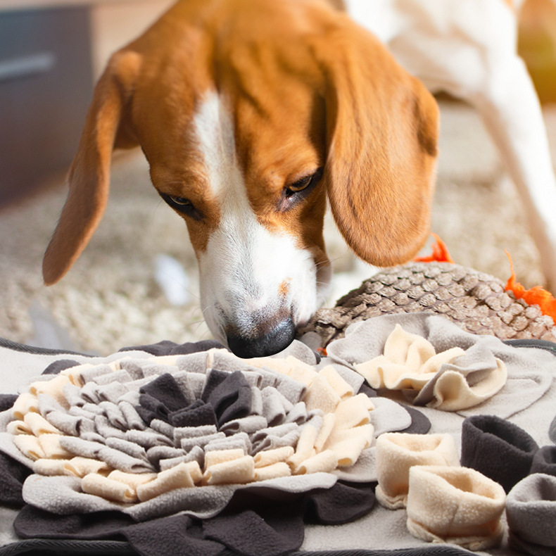 Nuevo hueso mascota olor Mat perro olor Mat entrenamiento estera educación lento comida estera mascota juguete