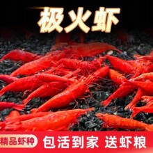 �O���r�^�p�r��ˮ�����r�ѻ��r�ښ��r�����r���rˮ���r��̖�^�p�r