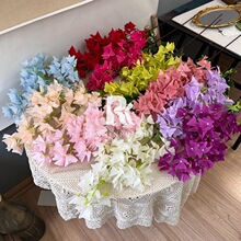 ����÷���滨�Ҿӿ͏d�ٻ��[����c��픲廨���l�������쾰�b�