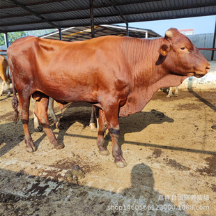 ������ľٝţ �����Rţ ���T����ţ��ţ�ٳ��� Сţ�كr��