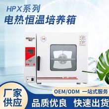 HPX-9162MBE恒温培养箱 低温细胞霉菌试验电热恒温恒湿微生物实验