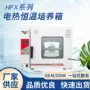 恒温霉菌低温实验培养箱