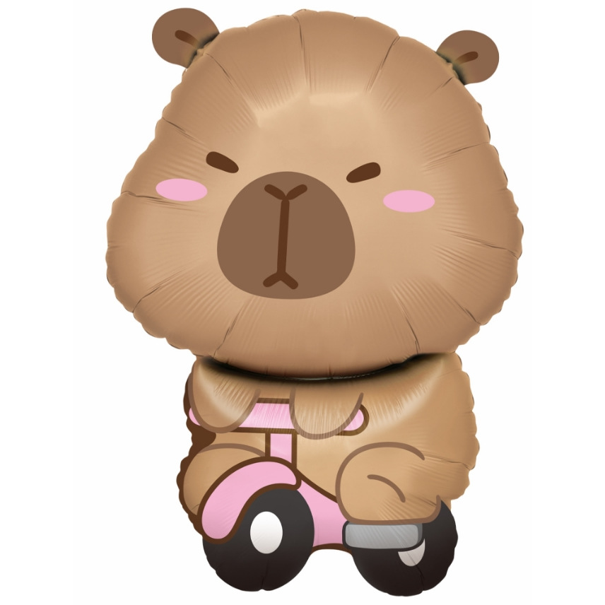 사이클링 카드 47*65CM