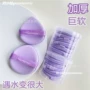 加厚干湿遇水两用粉扑