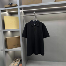�߰汾 �H��t��2025�¿��ļ����w�̽�POLO�����s���e���ɶ�����Ů