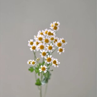 ȫ��l؛�仨����r����ʾ����l���С�r��ֱ�����û��r���滨