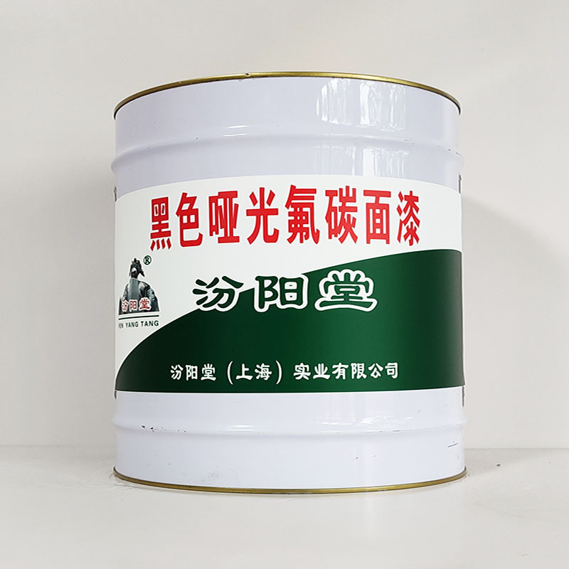 黑色哑光氟碳面漆、汾阳堂诚实守信、黑色哑光氟碳面漆、供应现货