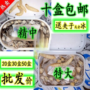 �������x�����x���x ���x �����x���w  �����B��ʳ�B��Ϟ�����x