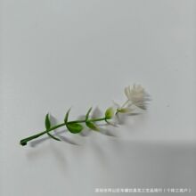 �����ȼ����軨����ֲ�������X�~õ����滨�����҃��b����