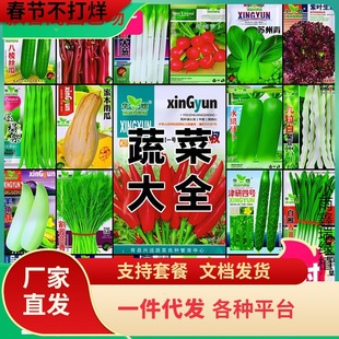 һ�����l�߲˷N���ļ�����ͥ�̨����ͥԺ�׷Nֲ�����S����������