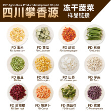 攀香源厂家冻干蔬菜冻干20g样品宠物零食狗狗轻食速食原料包邮