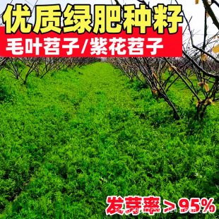 ���~�ϻ����ӷN���L��ëҰ�㶹�N�ӹ��@�G���B����Դ�ݷN��ë����