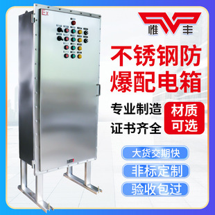 Customized Stainless Steel Explosion-Proof Lighting Power Distribution Cabinet Maintenance Wiring Box 304316 Power Switch Control Cabinet Factory