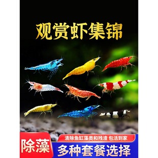 �Ꭷ�^�p�r���w��ˮ����ښ��rˮ���r�ѻ��r�ݸ׳����r�����r���]