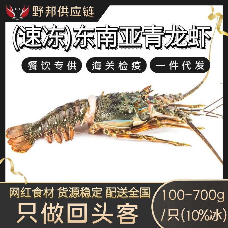 Little Green Dragon Indonesian Large Lobster Flower Lobster Boston Lobster Liquid Nitrogen Quick-Frozen Extra Large Flower Lobster