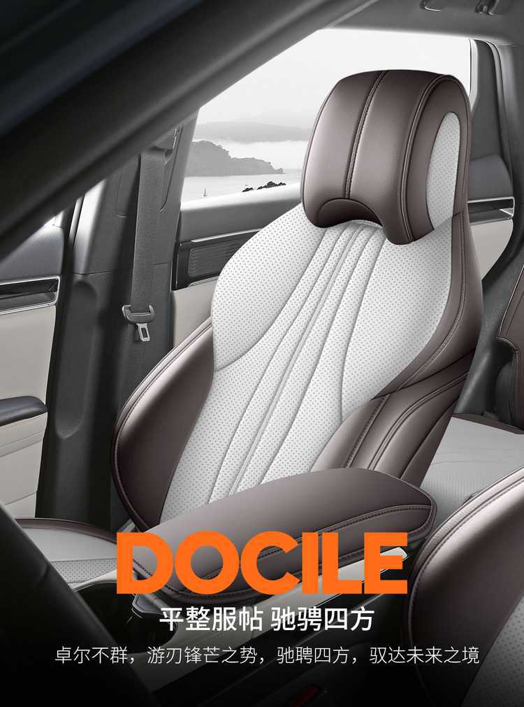 Seat Cover for BYD Song PLUS 2025 DMI/EV