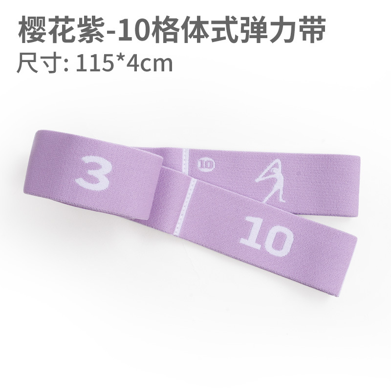 10 격자 사쿠라 퍼플