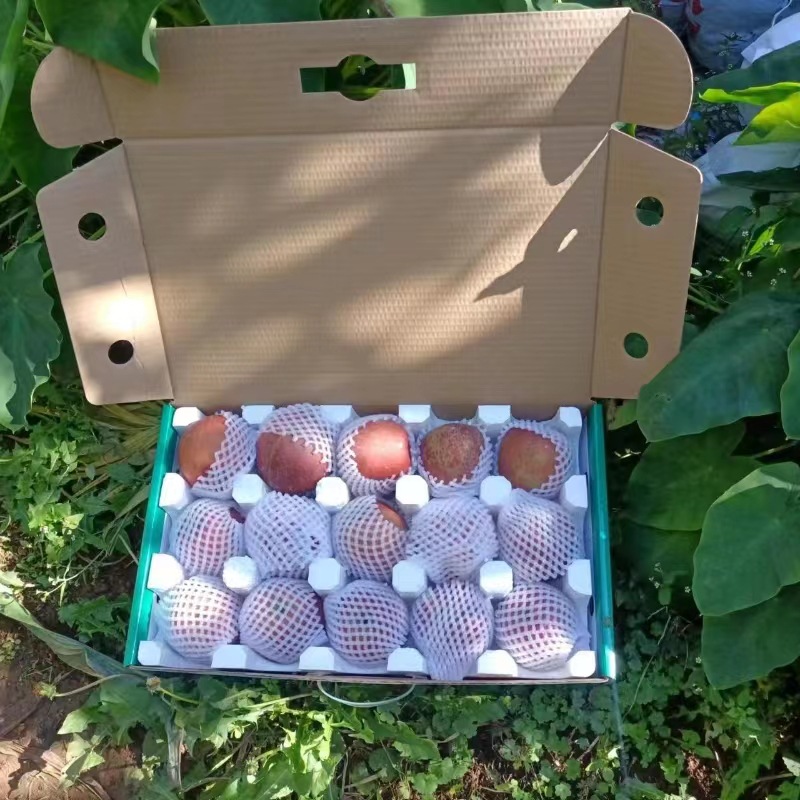 微信图片_20231211111107