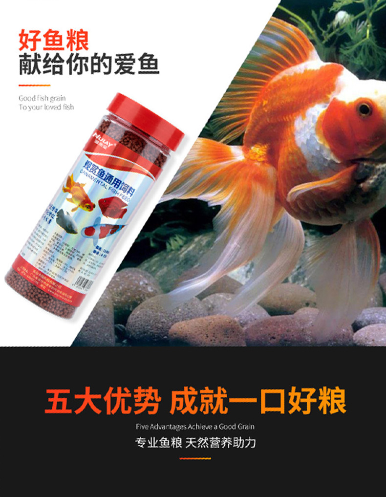 观赏鱼通用_04.jpg