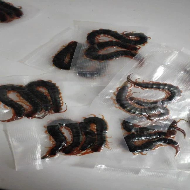 Арована, корм для рыбы, вакуумный пакет, быстрозамороженная черепаха, живой черепаха, арована, корм для волос, замачиваемый в вино, бетта, курица, птица