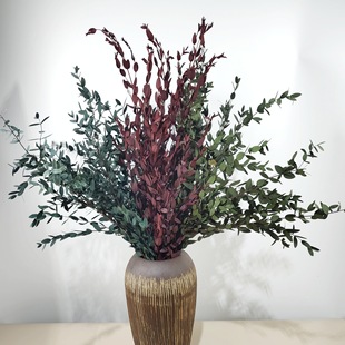 ins�����ȼ����~�����~�ɻ��ȼ������~���~��diy������